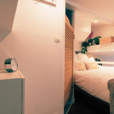 Apartament Duplex Parisien Metro13